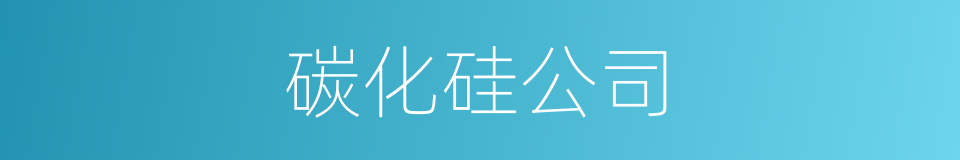 碳化硅公司的同义词