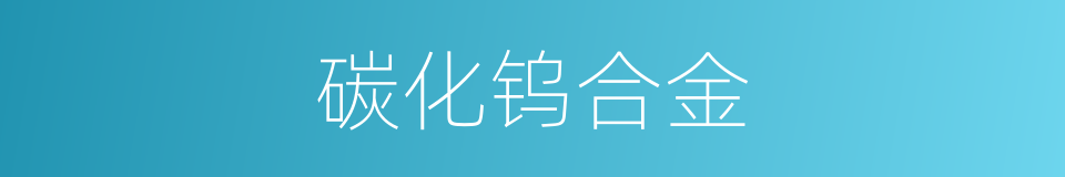 碳化钨合金的同义词