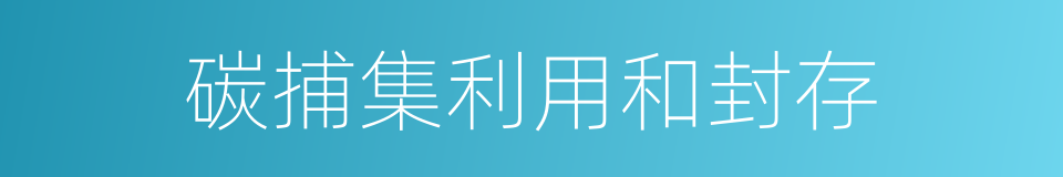 碳捕集利用和封存的同义词