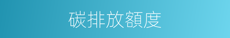 碳排放額度的同義詞