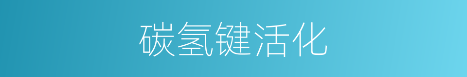 碳氢键活化的同义词
