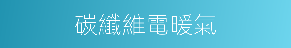 碳纖維電暖氣的同義詞