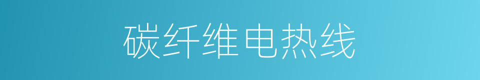 碳纤维电热线的同义词