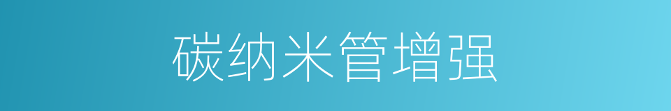 碳纳米管增强的同义词