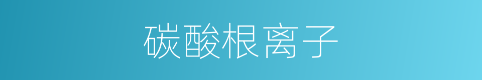 碳酸根离子的同义词