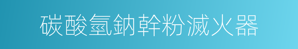 碳酸氫鈉幹粉滅火器的同義詞