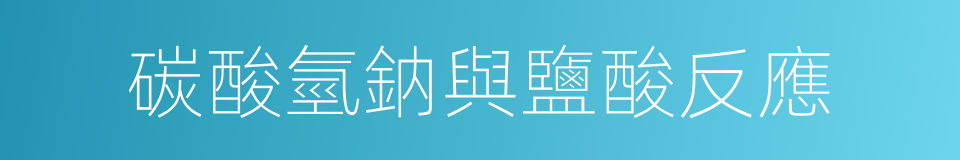 碳酸氫鈉與鹽酸反應的同義詞