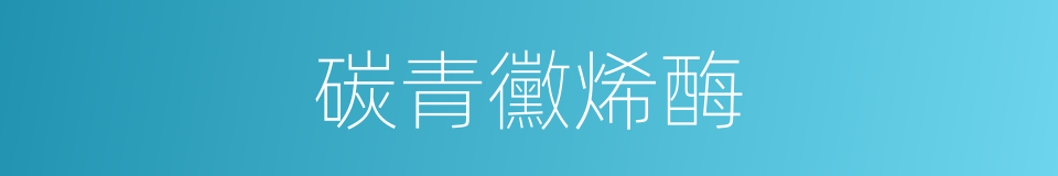 碳青黴烯酶的同義詞