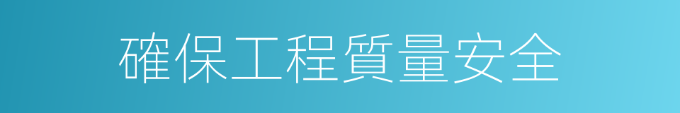 確保工程質量安全的同義詞