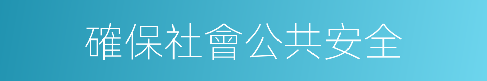 確保社會公共安全的同義詞