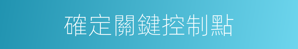 確定關鍵控制點的同義詞