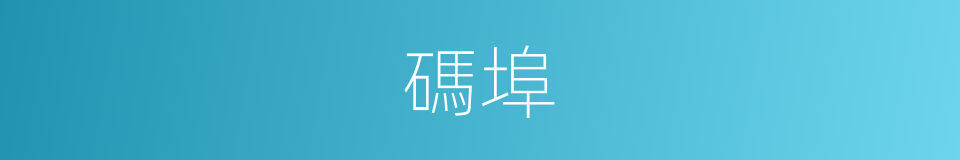 碼埠的同義詞