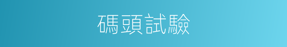 碼頭試驗的同義詞