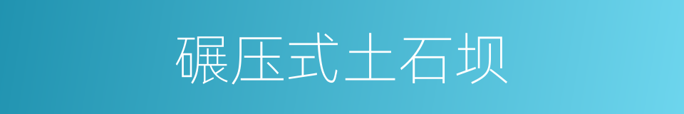碾压式土石坝的同义词