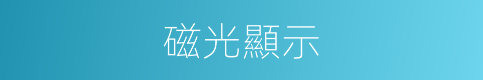 磁光顯示的同義詞
