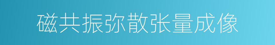 磁共振弥散张量成像的同义词