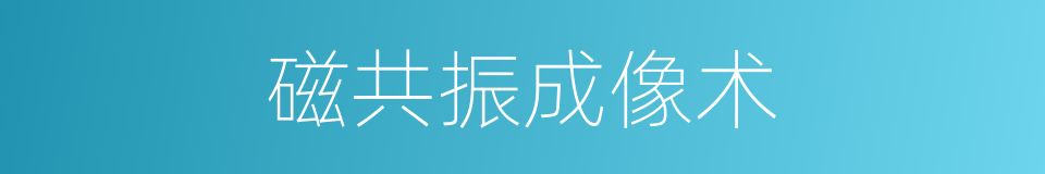 磁共振成像术的同义词