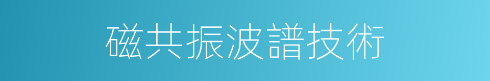 磁共振波譜技術的同義詞