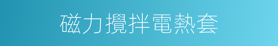 磁力攪拌電熱套的同義詞