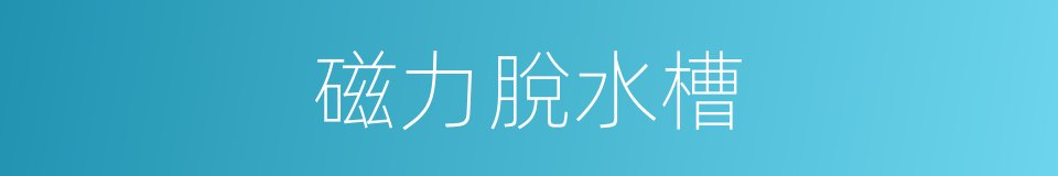 磁力脫水槽的同義詞