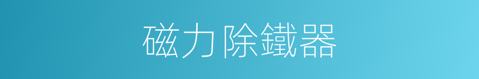 磁力除鐵器的同義詞