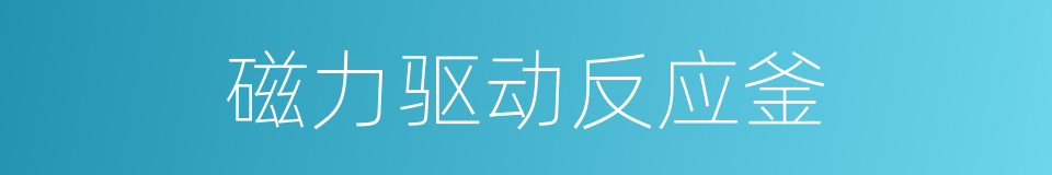 磁力驱动反应釜的同义词