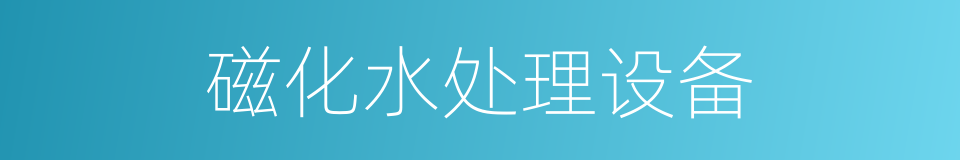 磁化水处理设备的同义词