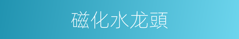 磁化水龙頭的同義詞