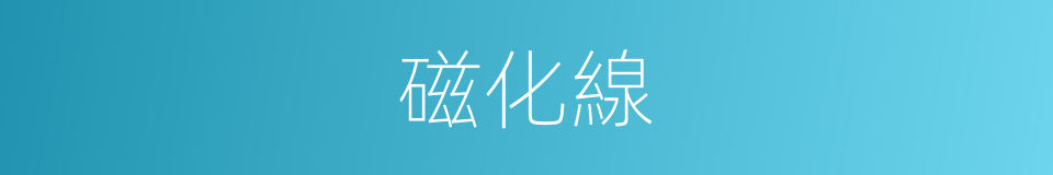 磁化線的同義詞