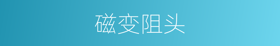 磁变阻头的同义词