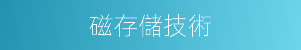 磁存儲技術的同義詞