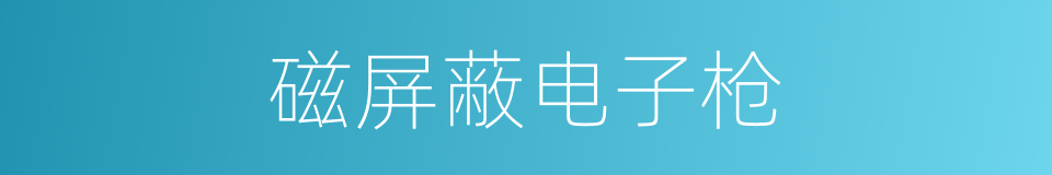 磁屏蔽电子枪的同义词