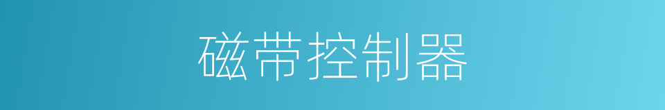 磁带控制器的同义词