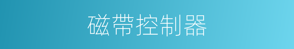 磁帶控制器的同義詞