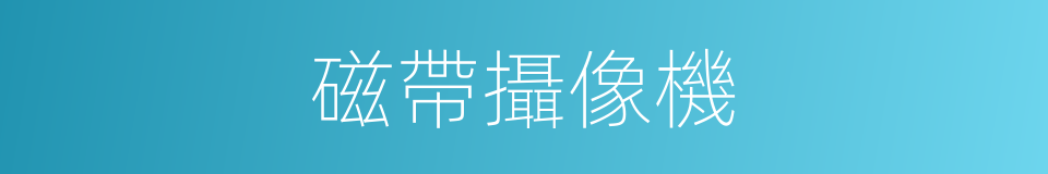 磁帶攝像機的同義詞
