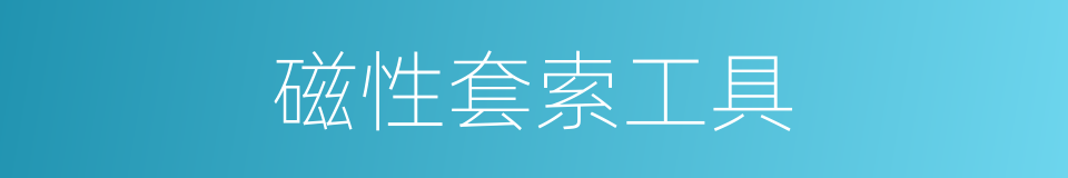 磁性套索工具的同义词