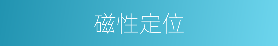 磁性定位的同义词