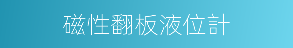 磁性翻板液位計的同義詞
