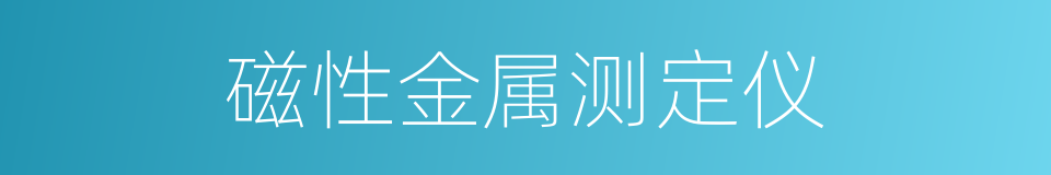 磁性金属测定仪的同义词