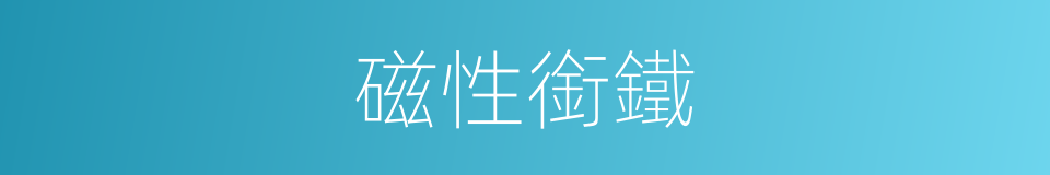 磁性銜鐵的同義詞