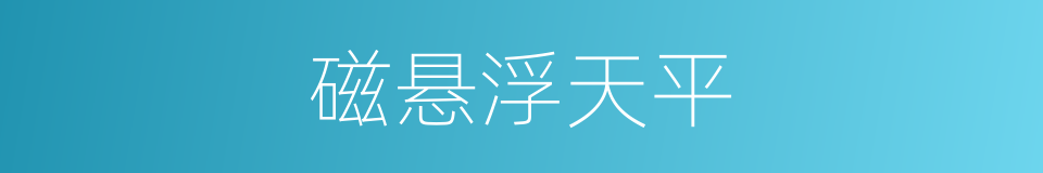 磁悬浮天平的同义词