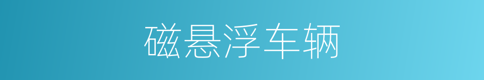磁悬浮车辆的意思