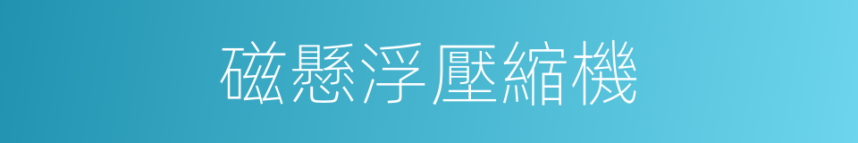 磁懸浮壓縮機的同義詞