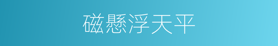 磁懸浮天平的同義詞