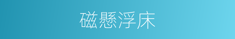 磁懸浮床的同義詞