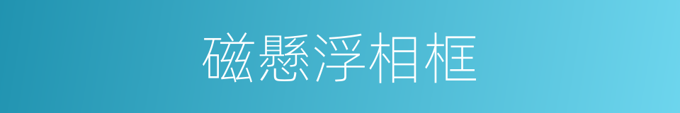 磁懸浮相框的同義詞