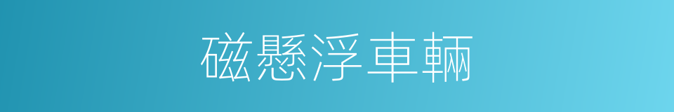 磁懸浮車輛的意思