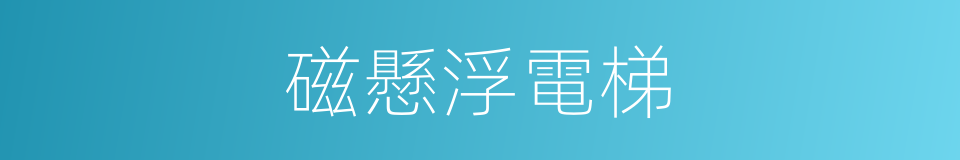 磁懸浮電梯的同義詞