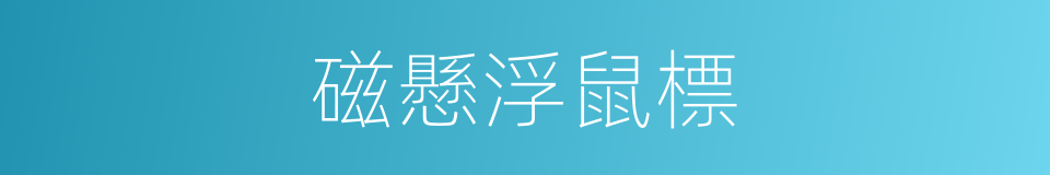 磁懸浮鼠標的同義詞