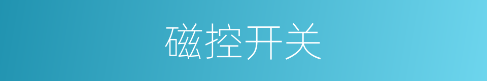 磁控开关的同义词
